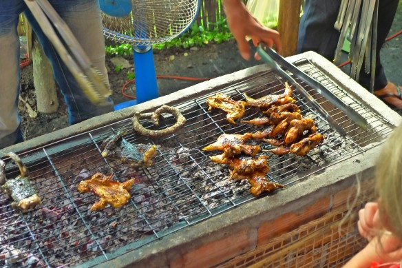 Local cuisine in a nutshell (from right to left):  chicken,  rats, snake (the sausage-like thing), frog. Out of sight: bog snails fried in butter. Bon Appetit!